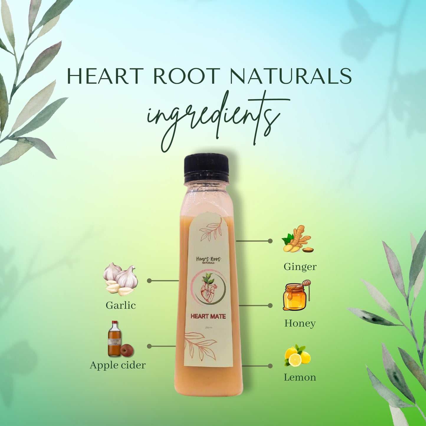 Heart Mate - Organic Apple Cider Vinegar Blend